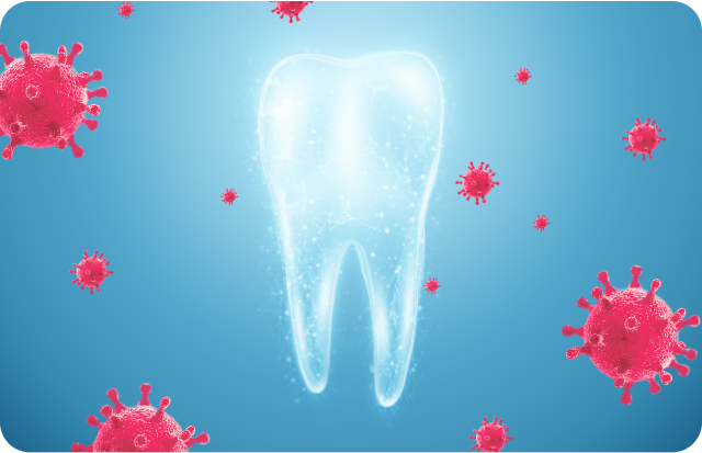 Maintaining Your Oral Health