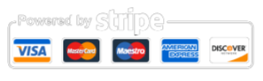 Payment Gateway | VISA | MASTER CARD | Maestro | American Express | Discover