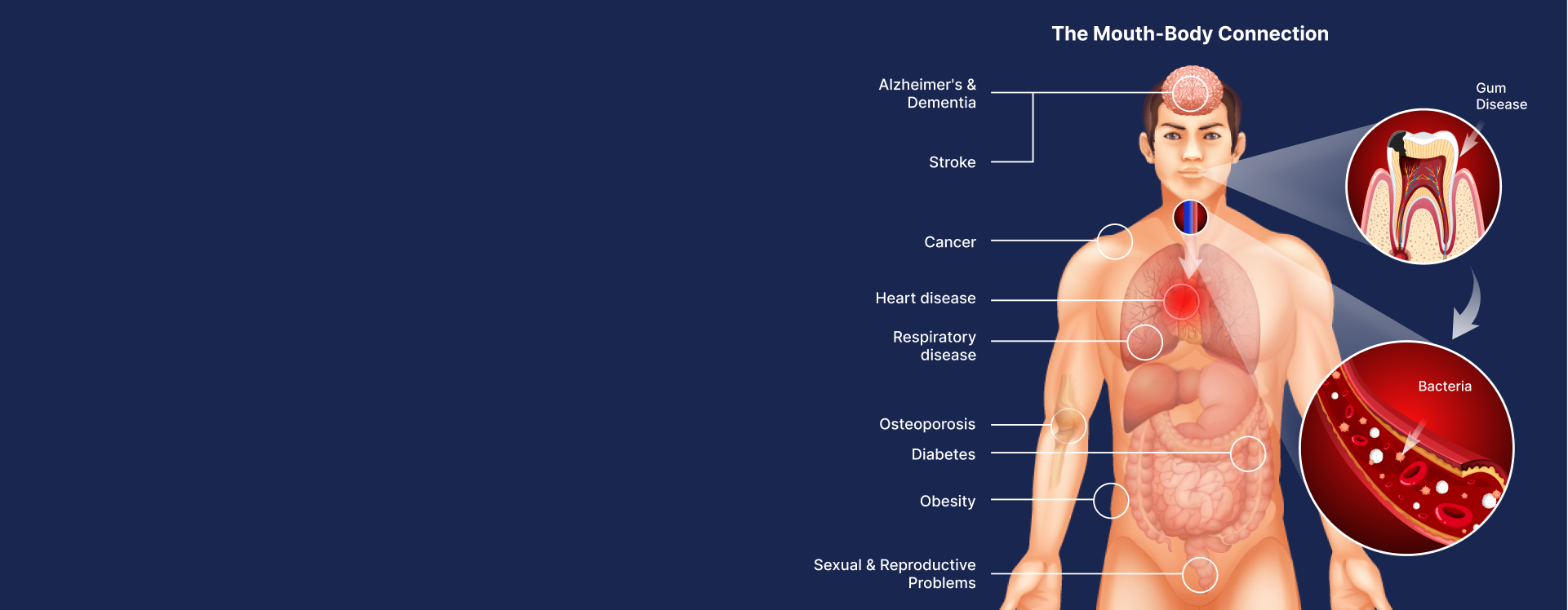 Salivary Testing Saliva Testing Salivabased Testing