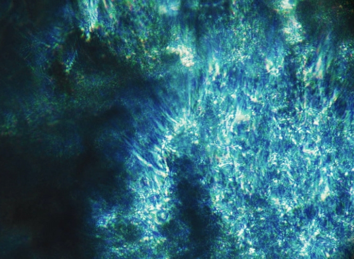 Dentulu & Viome