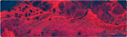 Dentulu & Viome