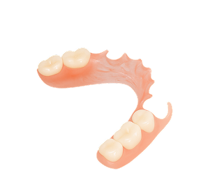 Partial Valplast