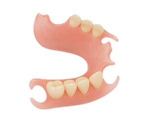 Complete Valplast